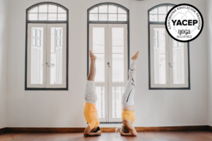 80-hours-advance-yoga-teacher-training-course